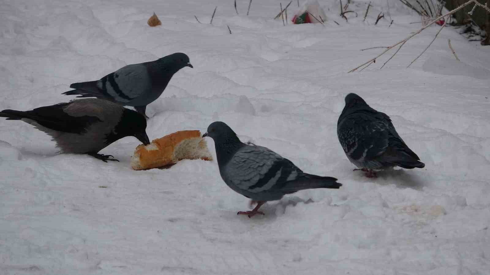 Ardahan’ın Göle ilçesi Türkiye’nin en soğuk yerleşim yeri oldu

