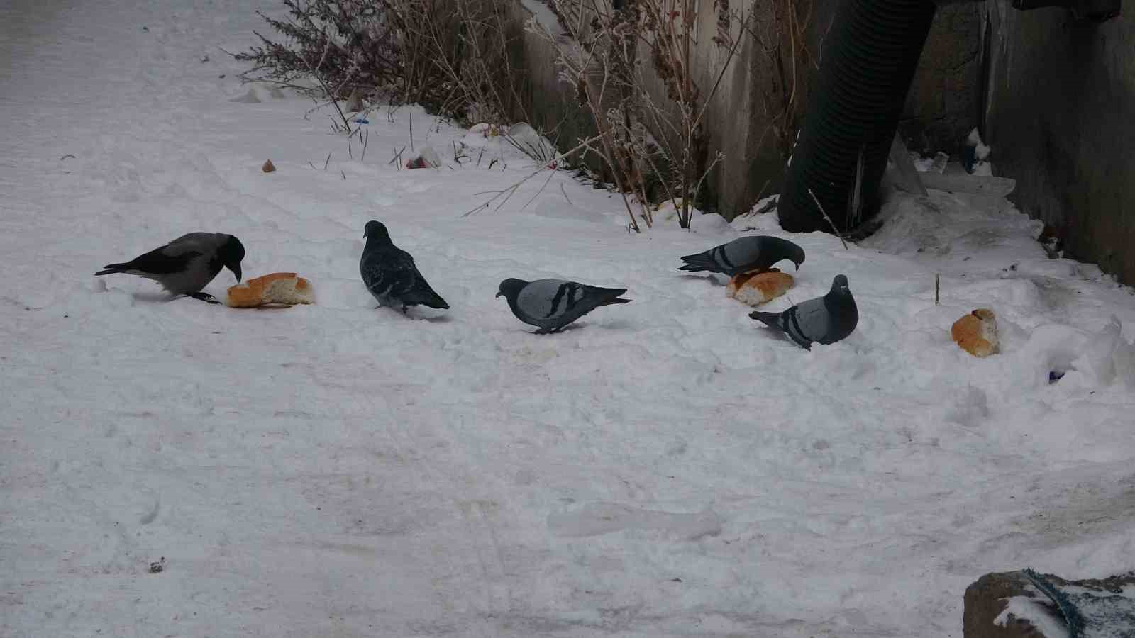 Ardahan’ın Göle ilçesi Türkiye’nin en soğuk yerleşim yeri oldu
