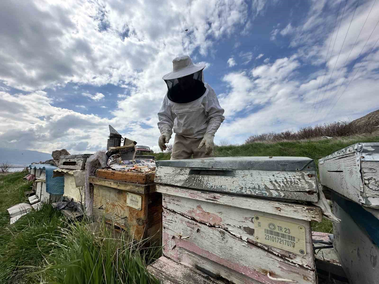 Arıcılar yavru ve besleme dönemine girdi
