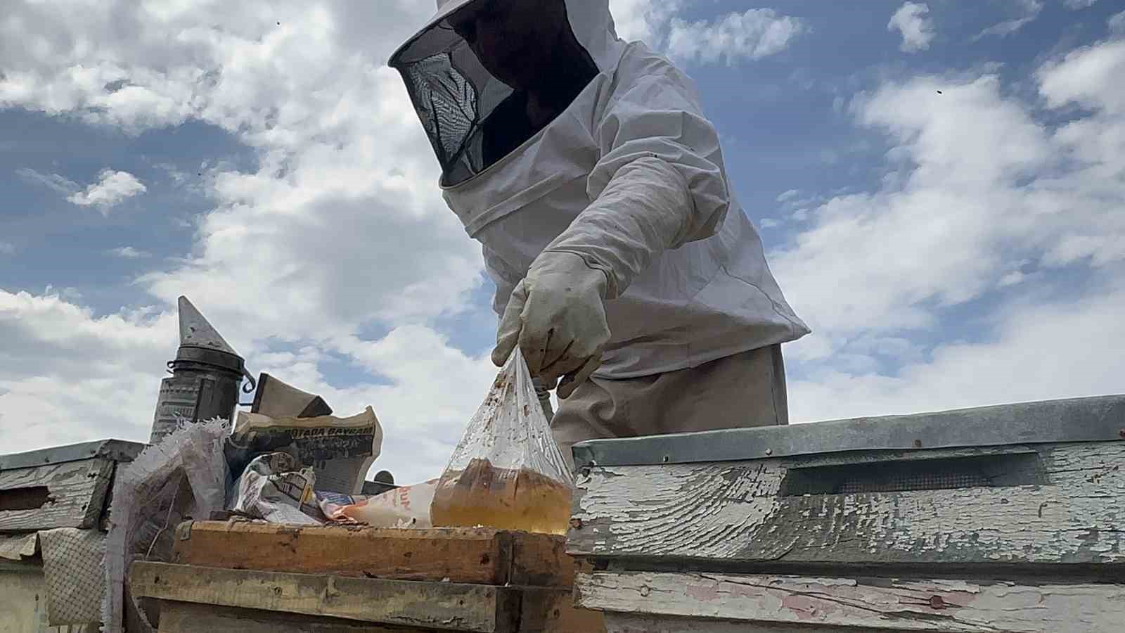 Arıcılar yavru ve besleme dönemine girdi
