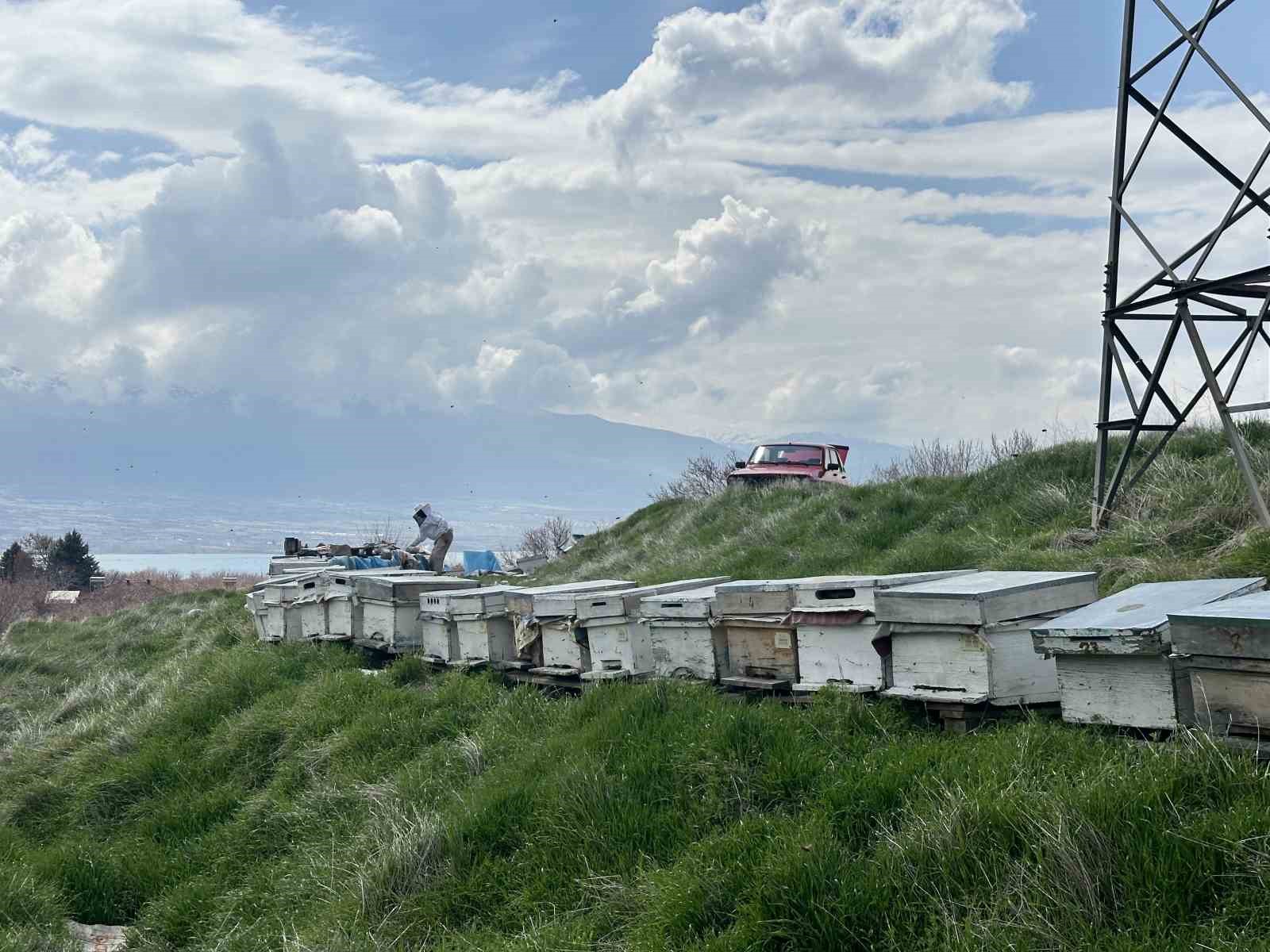 Arıcılar yavru ve besleme dönemine girdi
