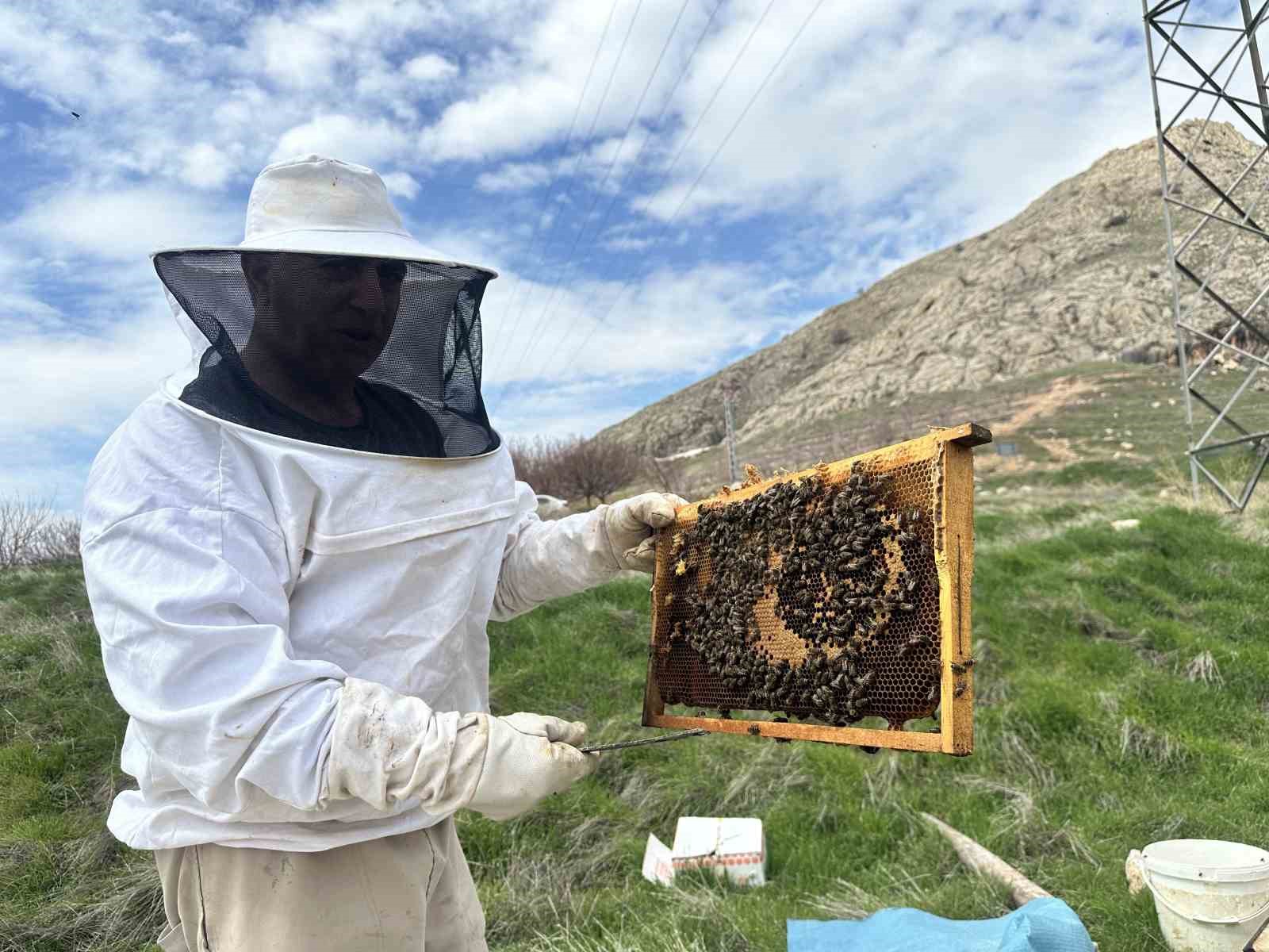 Arıcılar yavru ve besleme dönemine girdi
