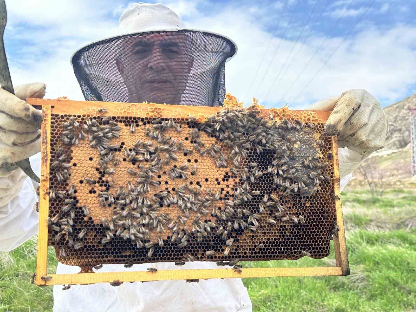 Arıcılar yavru ve besleme dönemine girdi
