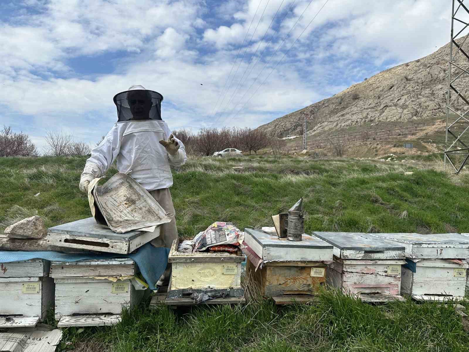 Arıcılar yavru ve besleme dönemine girdi
