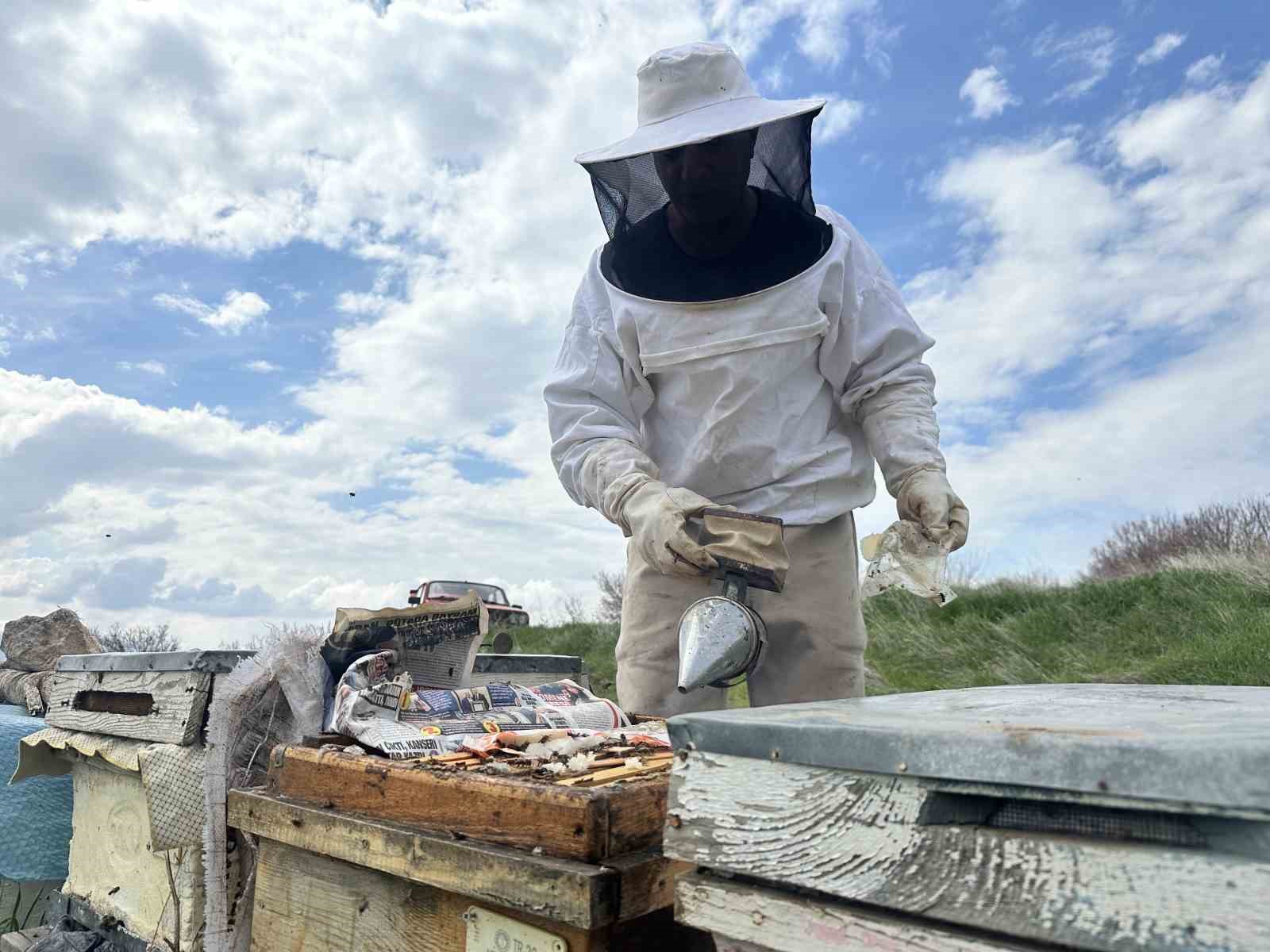 Arıcılar yavru ve besleme dönemine girdi
