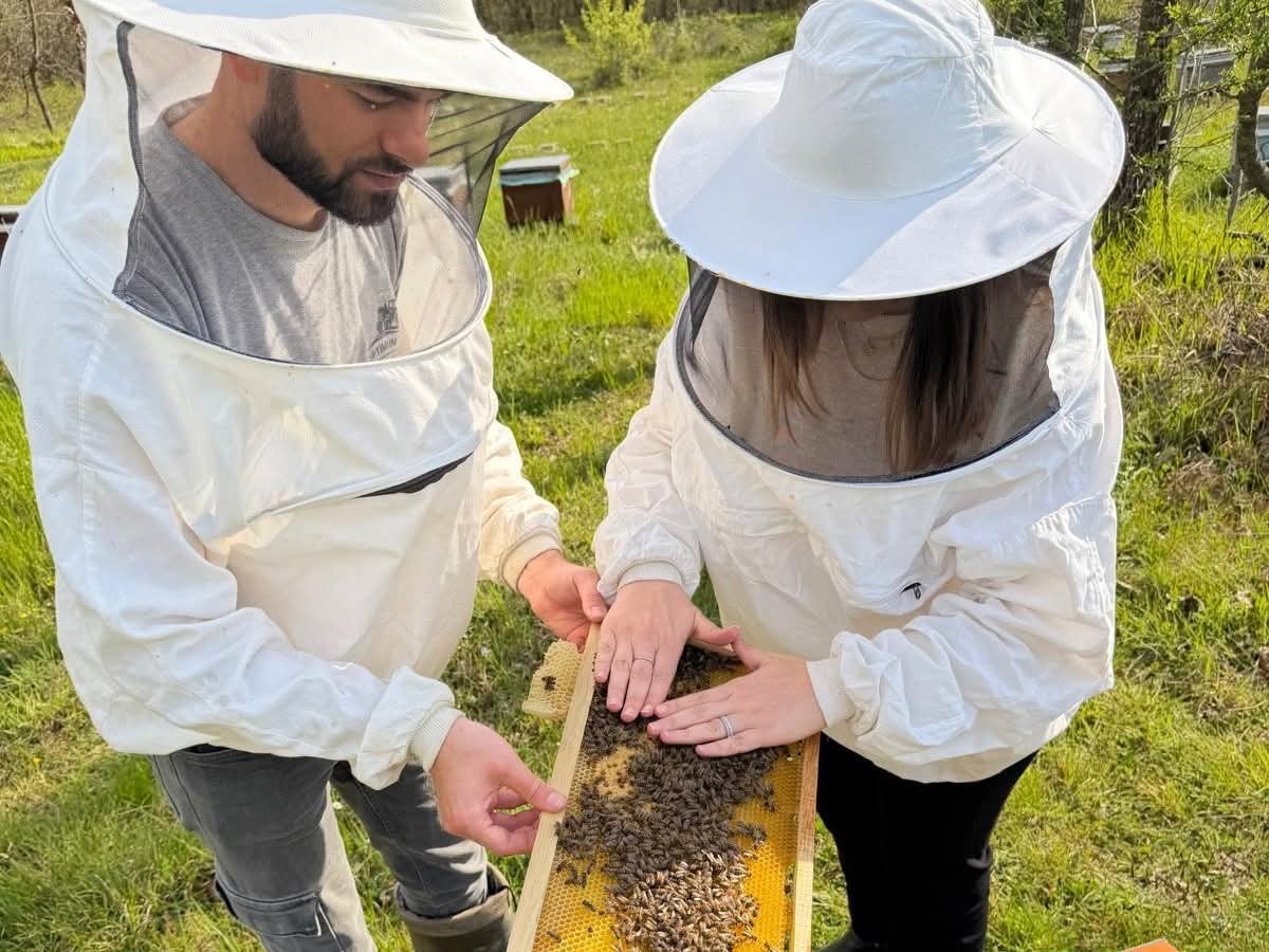 Arıcılara sahada destek
