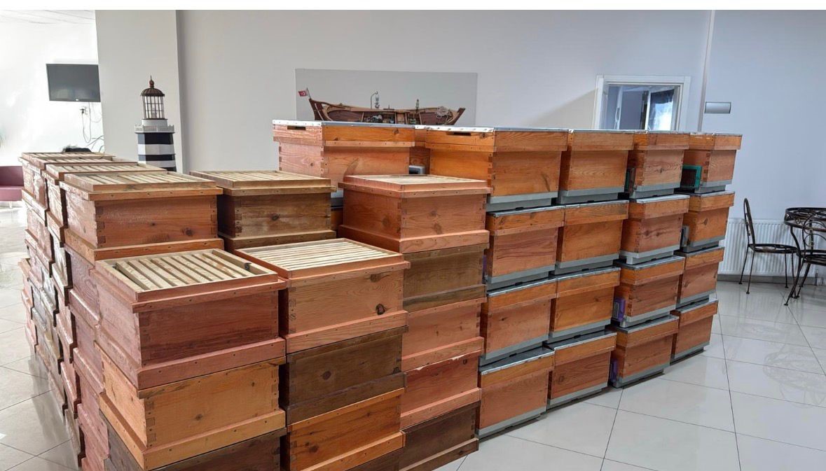 Arıcılık kursiyerlerine kovan desteği
