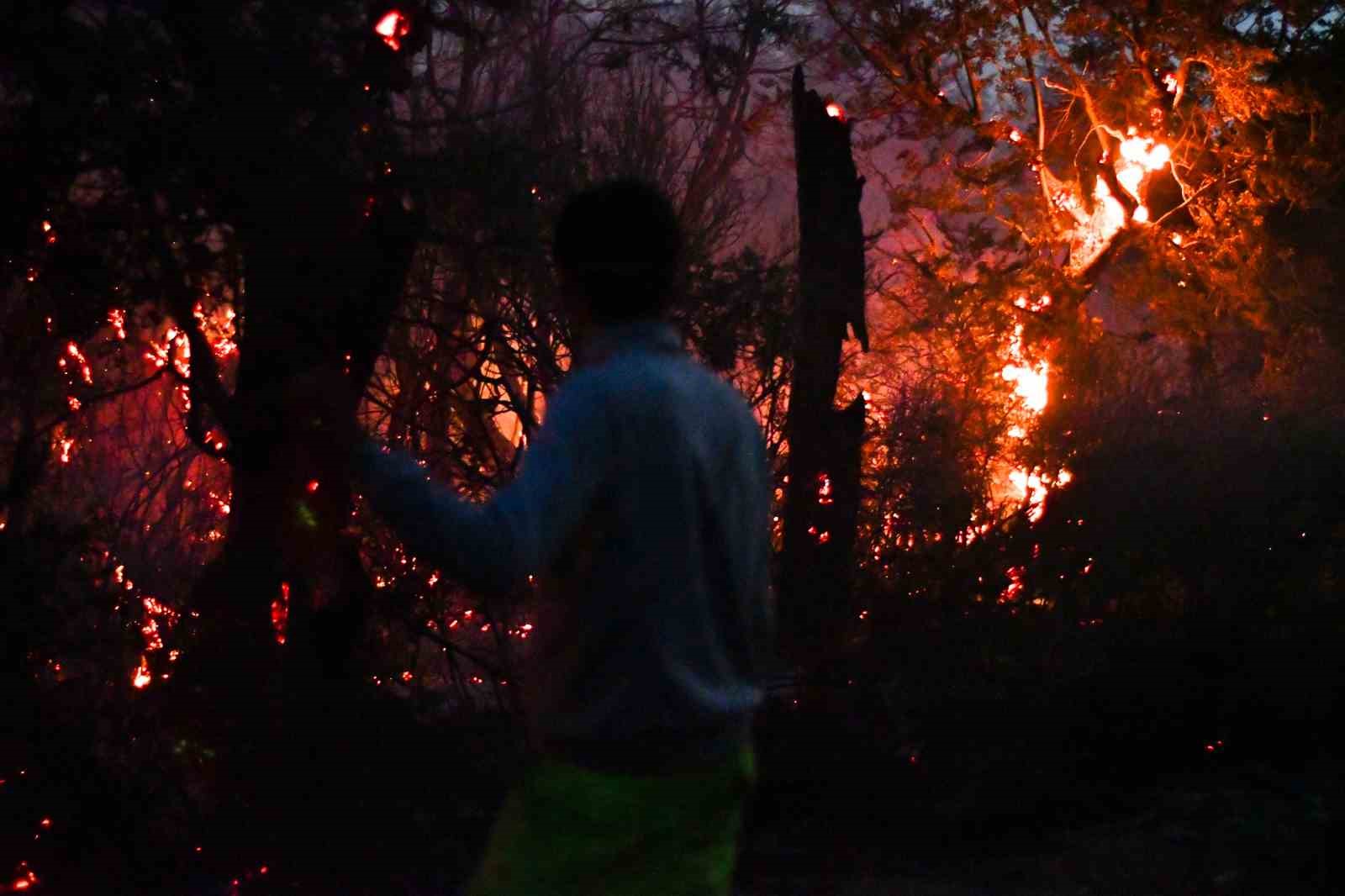 Arjantin’deki orman yangınlarında 50 bin hektarlık alan kül oldu
