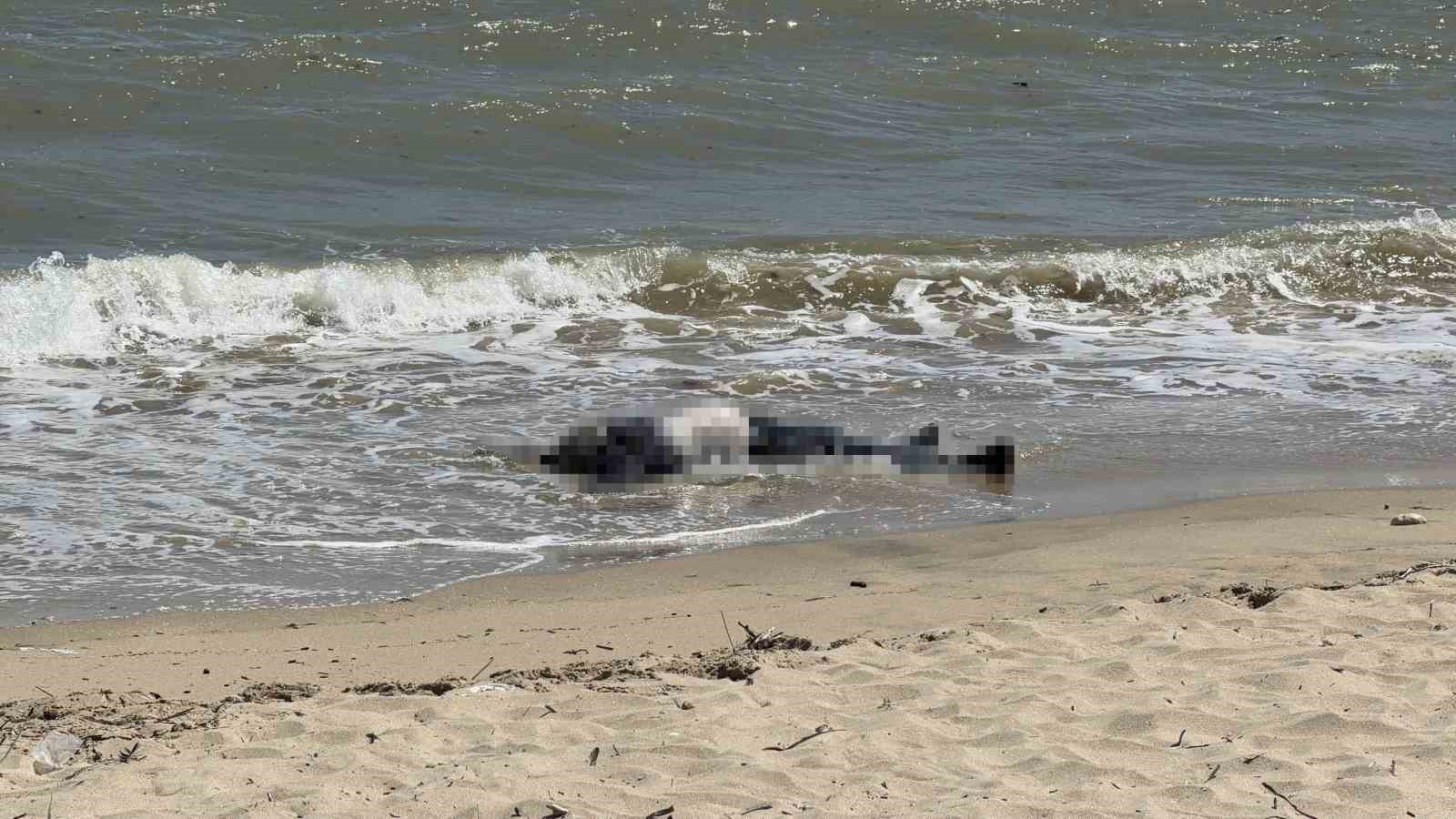 Arnavutköy sahilinde erkek cesedi bulundu
