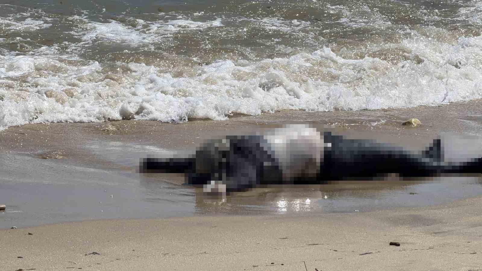 Arnavutköy sahilinde erkek cesedi bulundu
