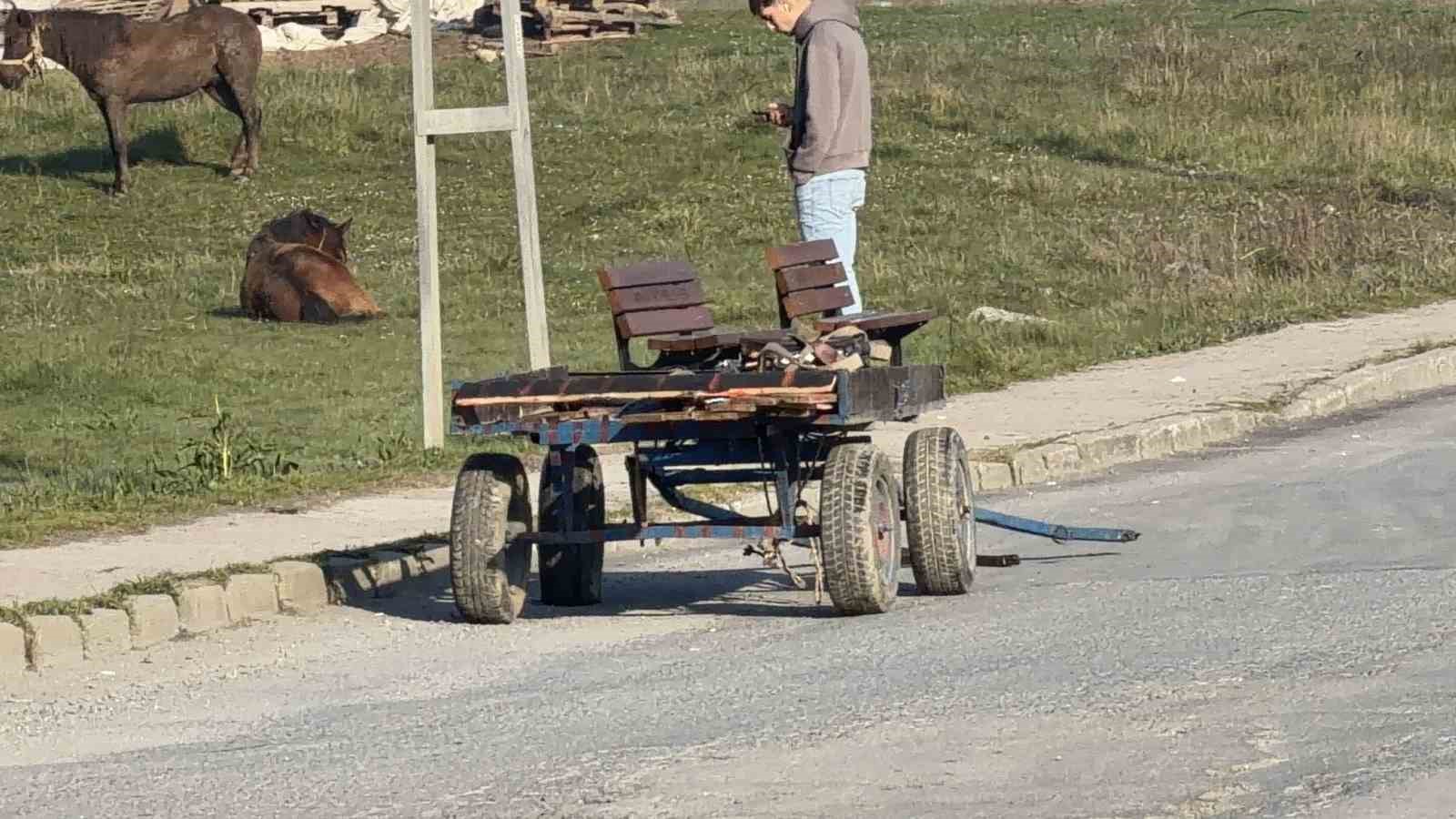 Arnavutköy’de başıboş at otomobillere çarptı: 2 araç hasar aldı
