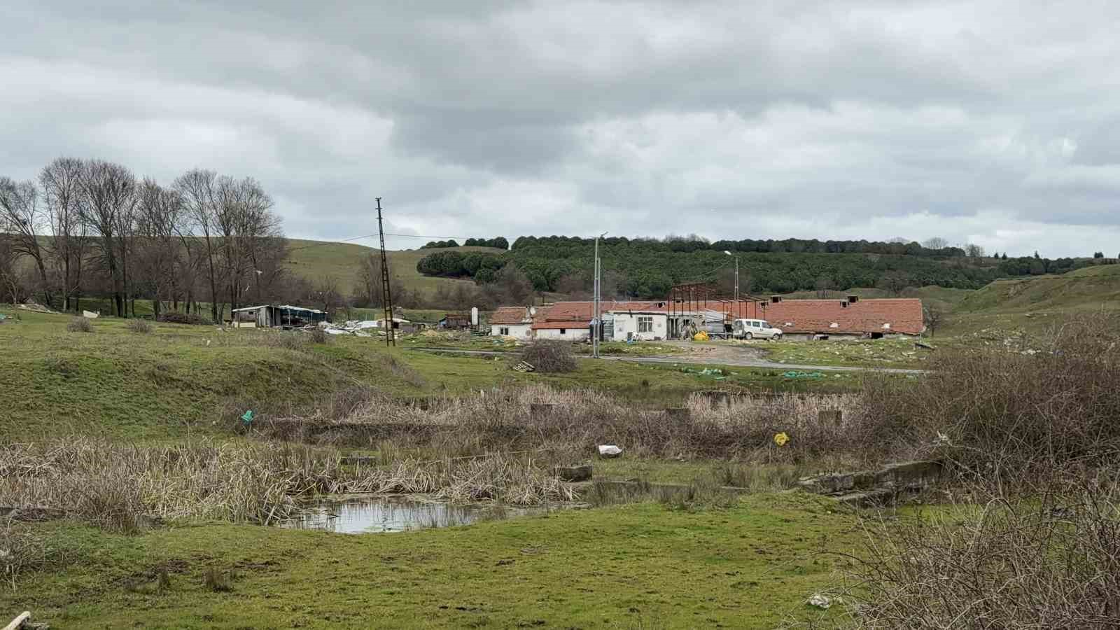 Arnavutköy’de elektrikli testereli saldırı: Çiftlik evinde dehşet
