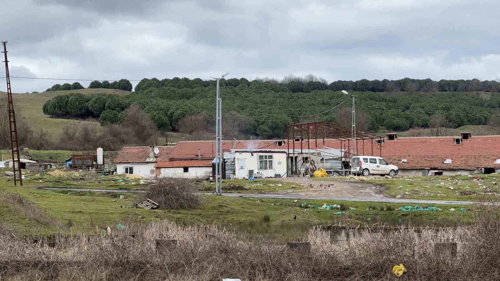 Arnavutköy’de elektrikli testereli saldırı: Çiftlik evinde dehşet
