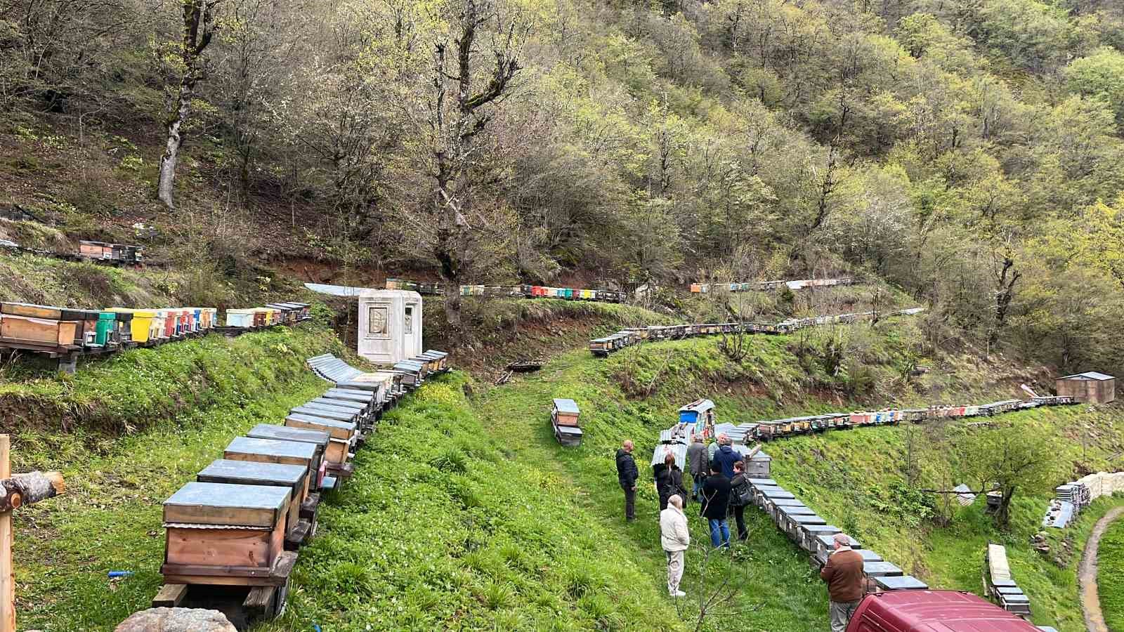 Artvin apiturizmde gelecek vadediyor
