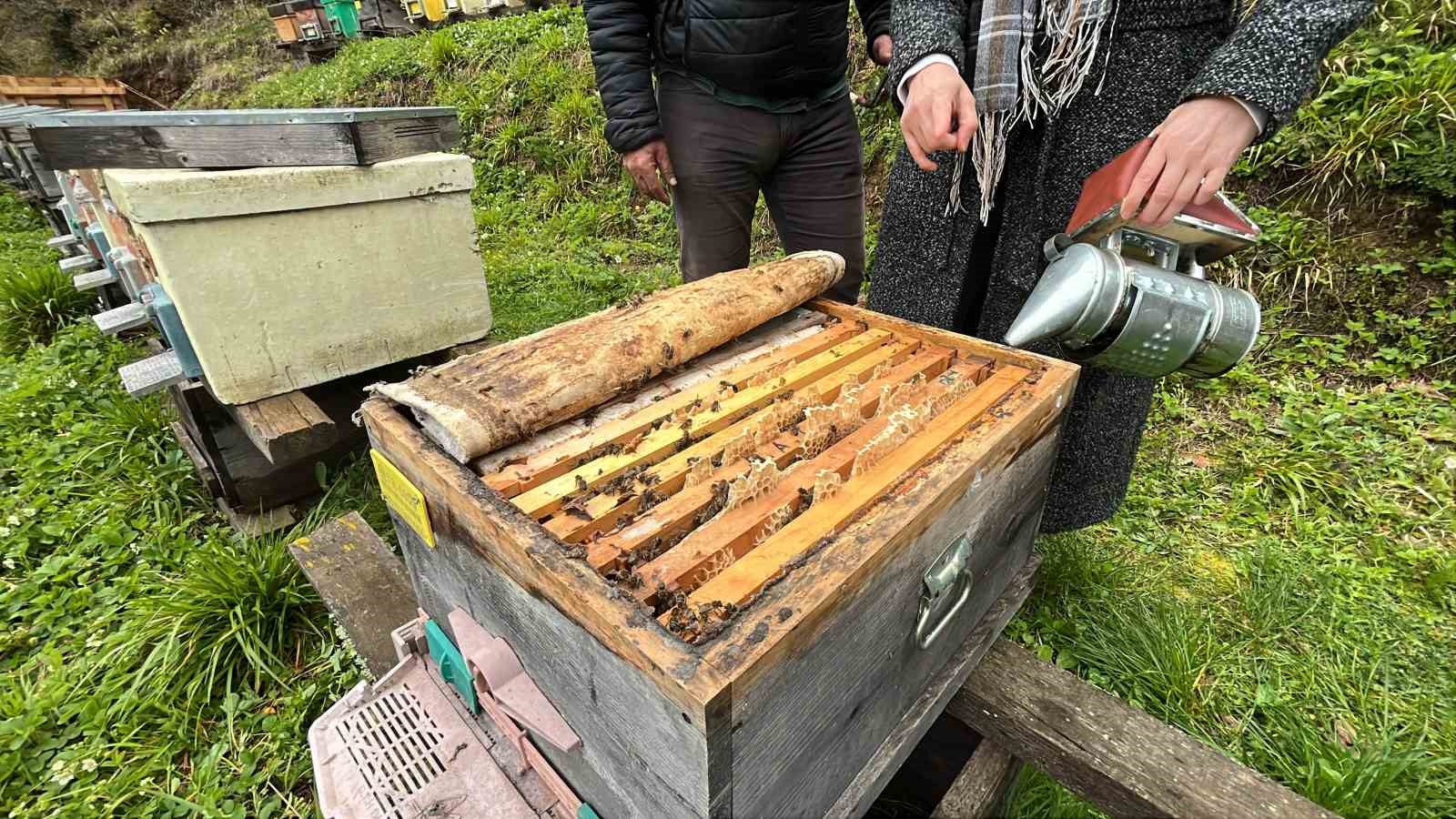 Artvin apiturizmde gelecek vadediyor
