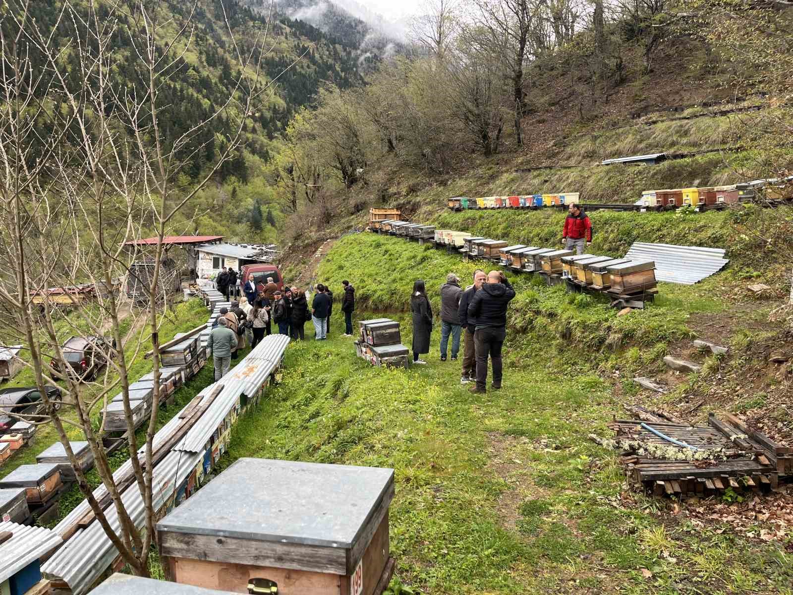 Artvin apiturizmde gelecek vadediyor
