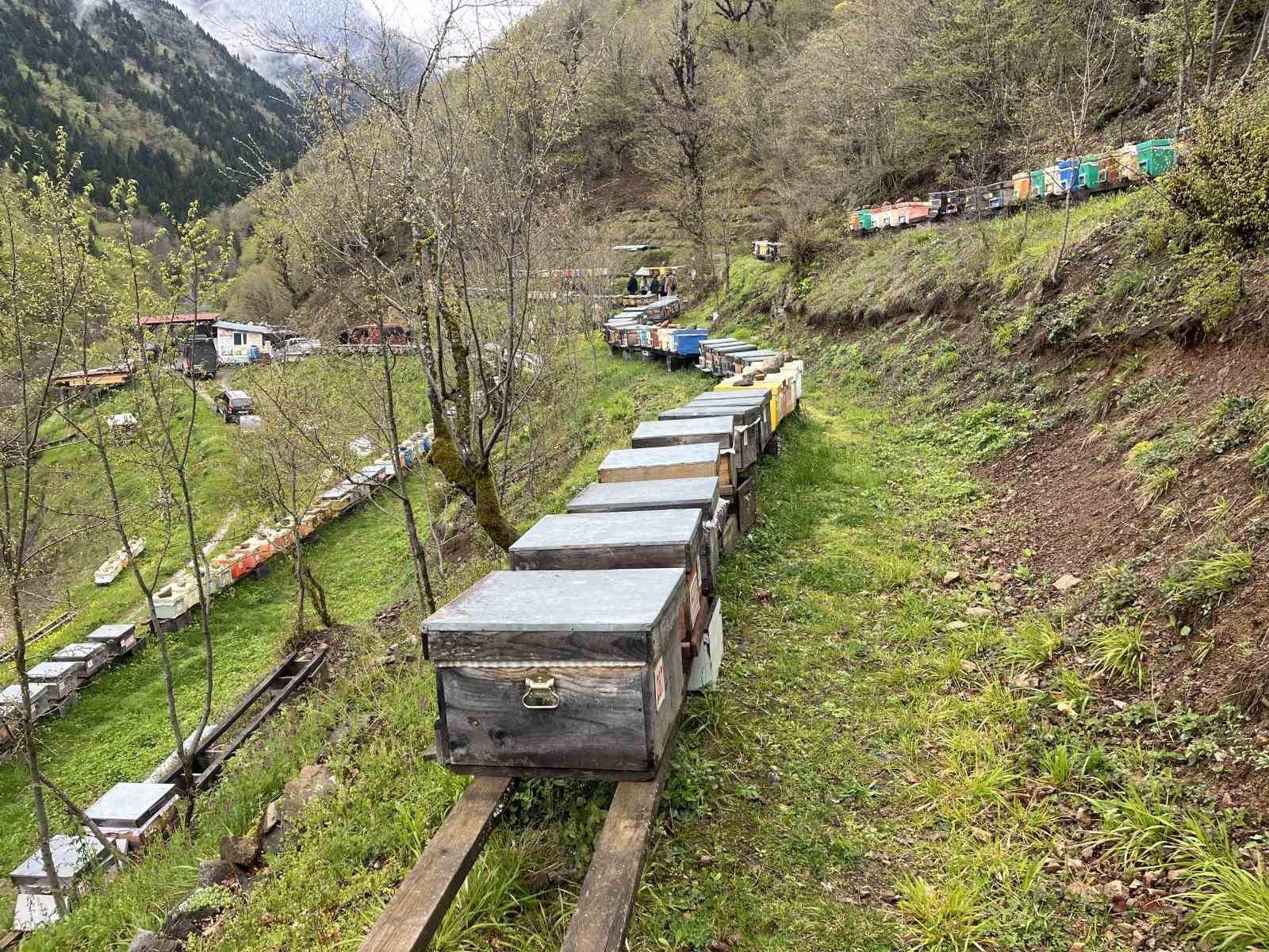 Artvin apiturizmde gelecek vadediyor
