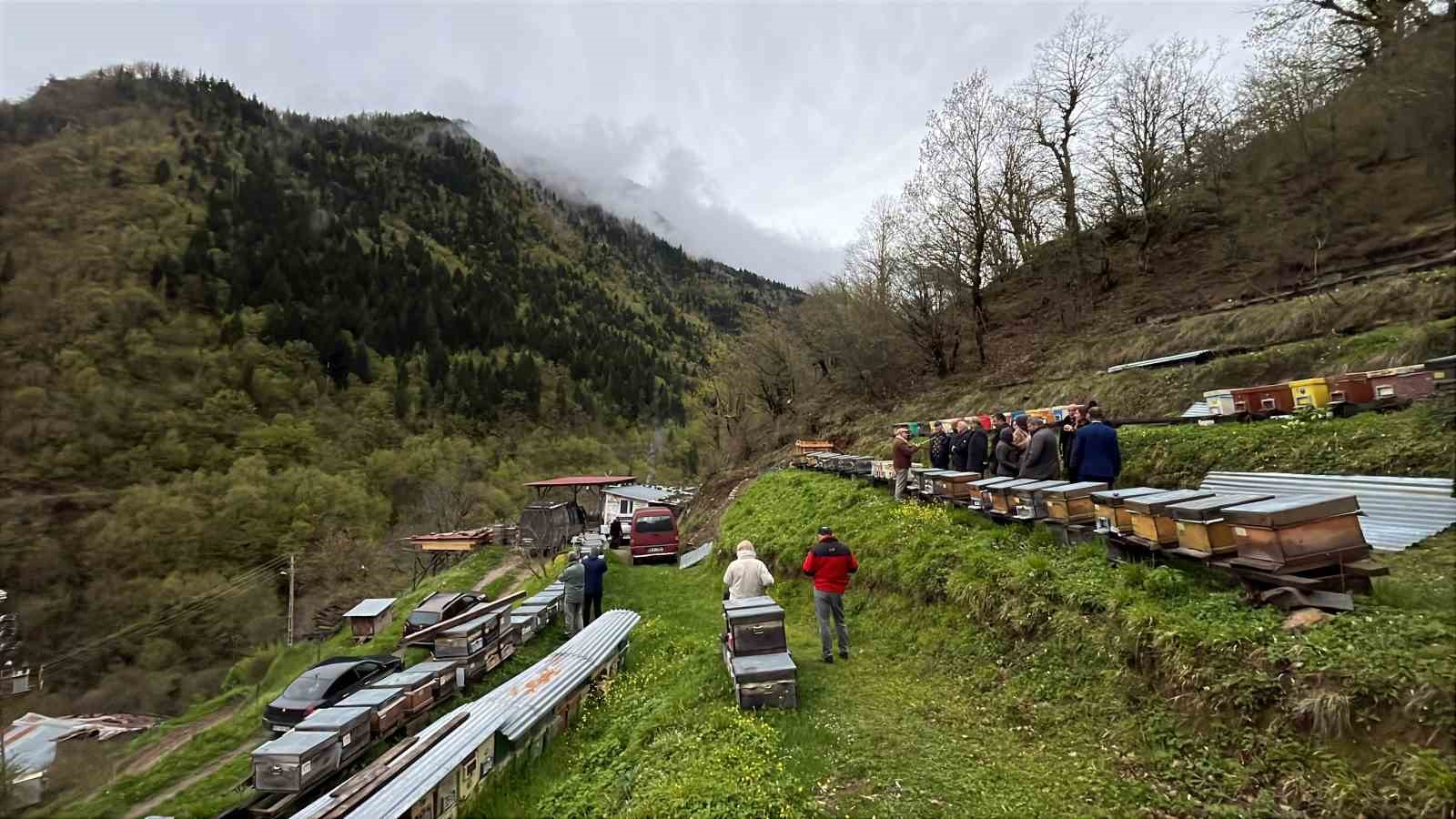Artvin apiturizmde gelecek vadediyor
