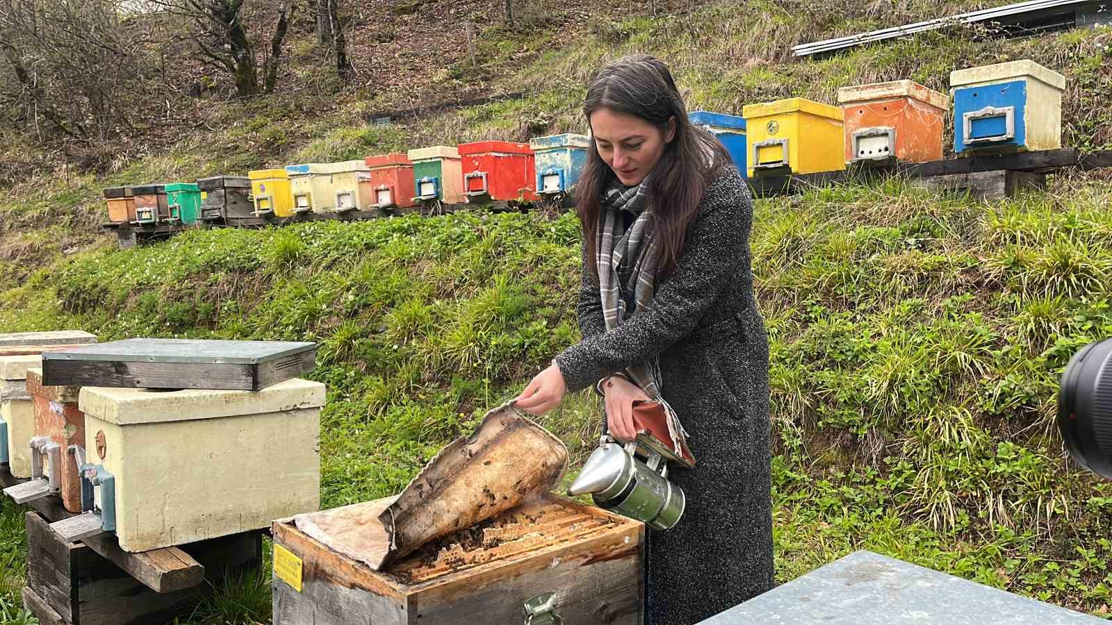 Artvin apiturizmde gelecek vadediyor
