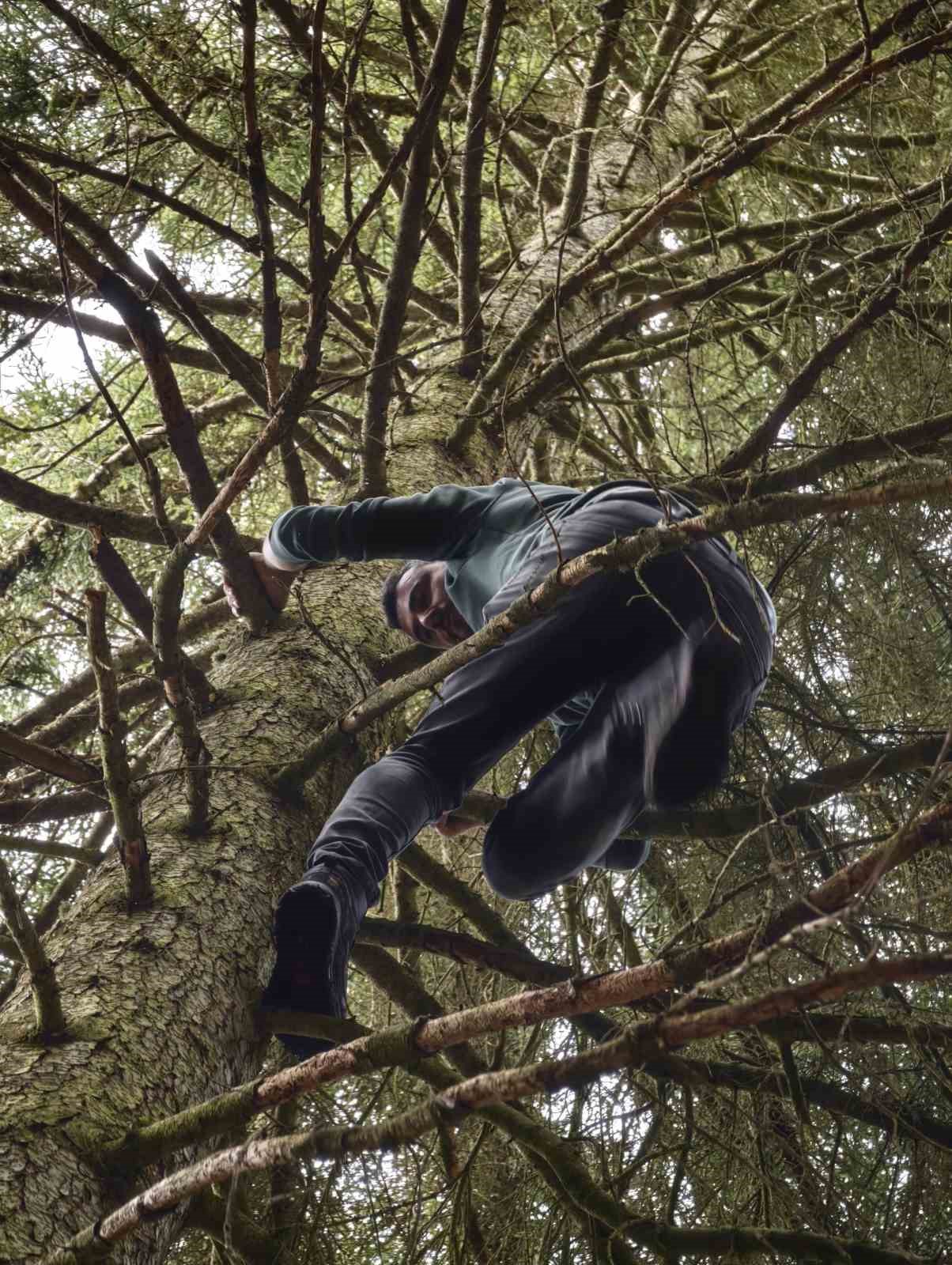 Artvin’de 40 metrelik göknar ağacının tepesine takılan dronu böyle kurtardılar
