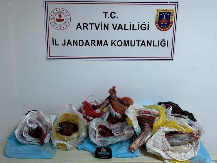 Artvin’de 60 kilo yaban domuzu eti ele geçirildi
