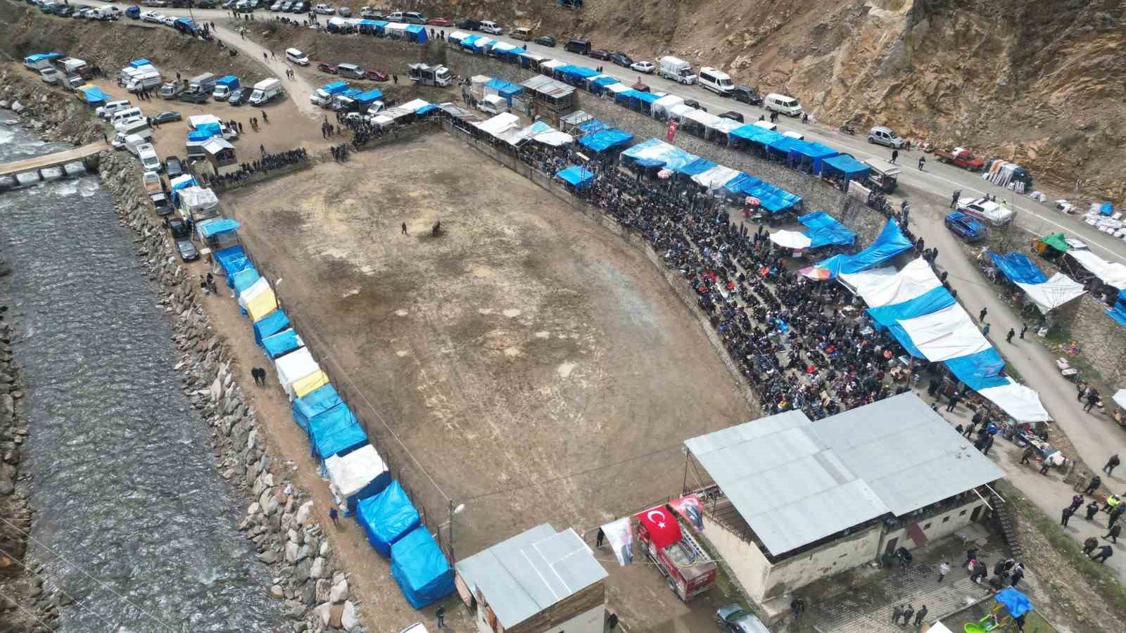 Artvin’de boğa güreşleri sezonu Sarıgöl’de açıldı
