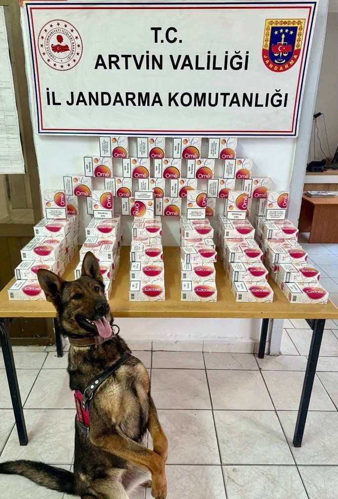 Artvin’de kaçakçılıkla mücadelede 9 bin 690 paket sigara ele geçirildi
