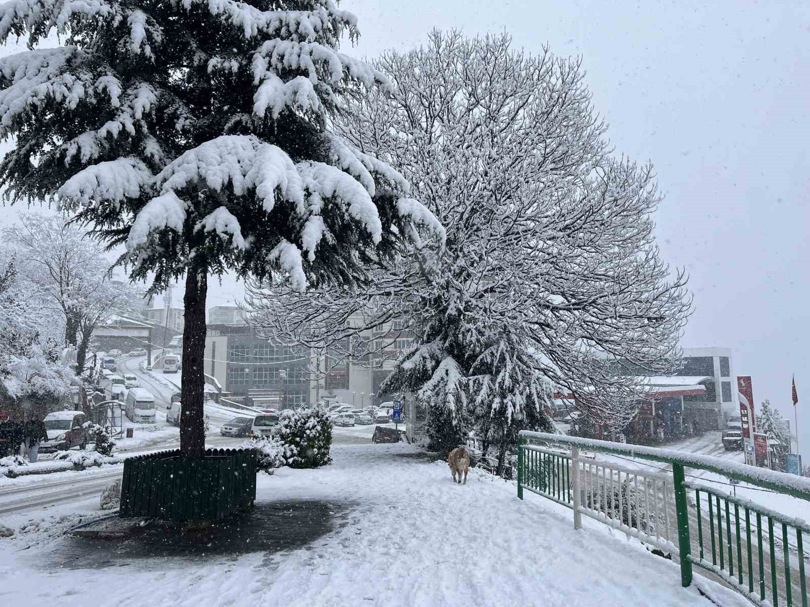 Artvin’de kar yağışı etkisini sürdürüyor
