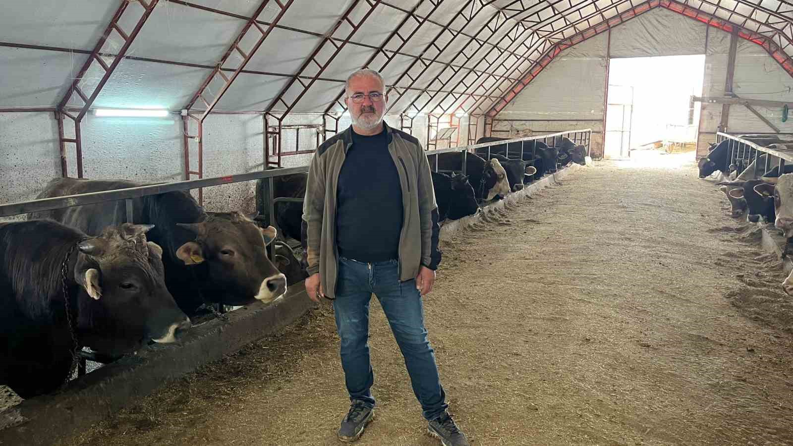 Artvin’de kurbanlıklar pazara çıkmayı bekliyor
