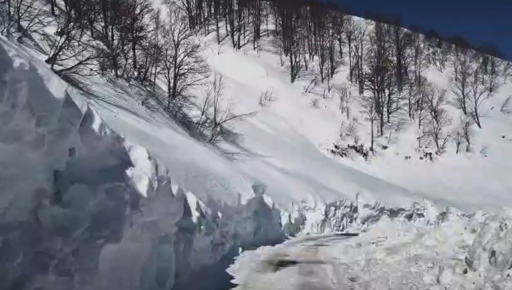 Artvin’de Macahel geçidi yeniden ulaşıma açıldı
