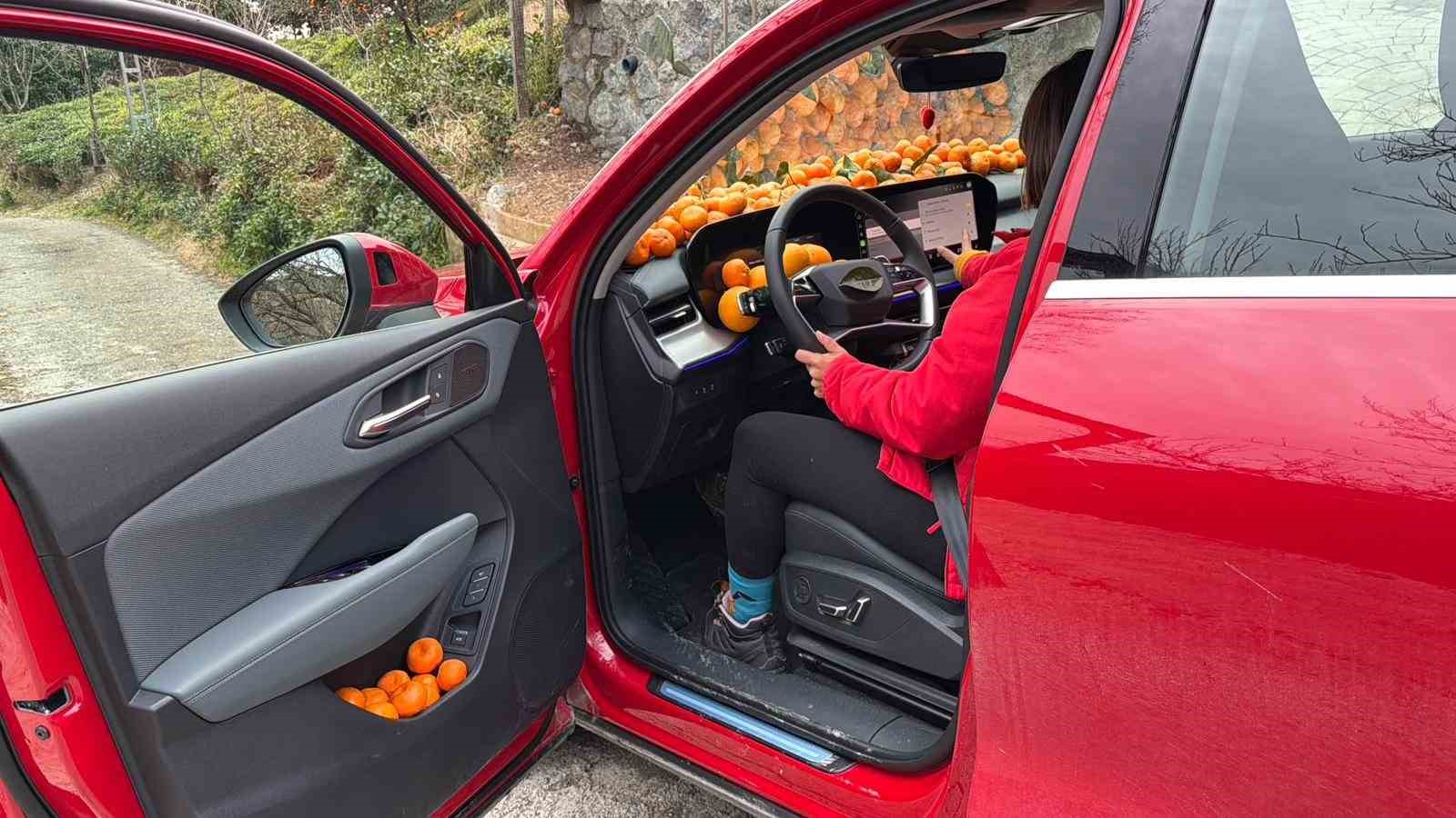 Artvin’de mandalina bereketi torpidoya taştı
