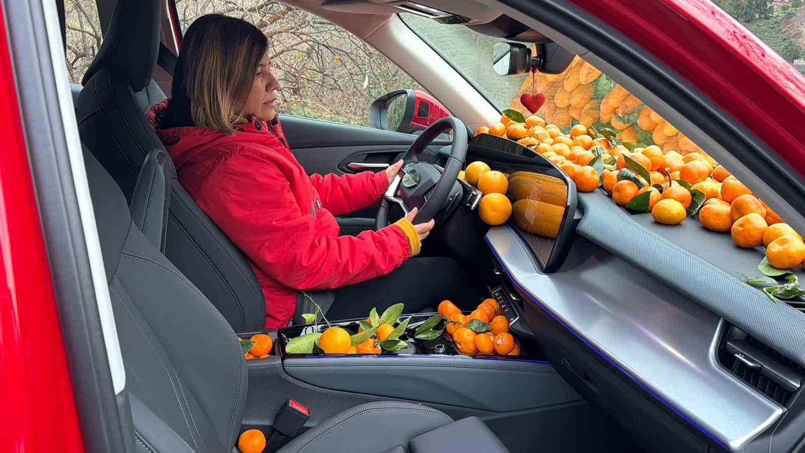 Artvin’de mandalina bereketi torpidoya taştı
