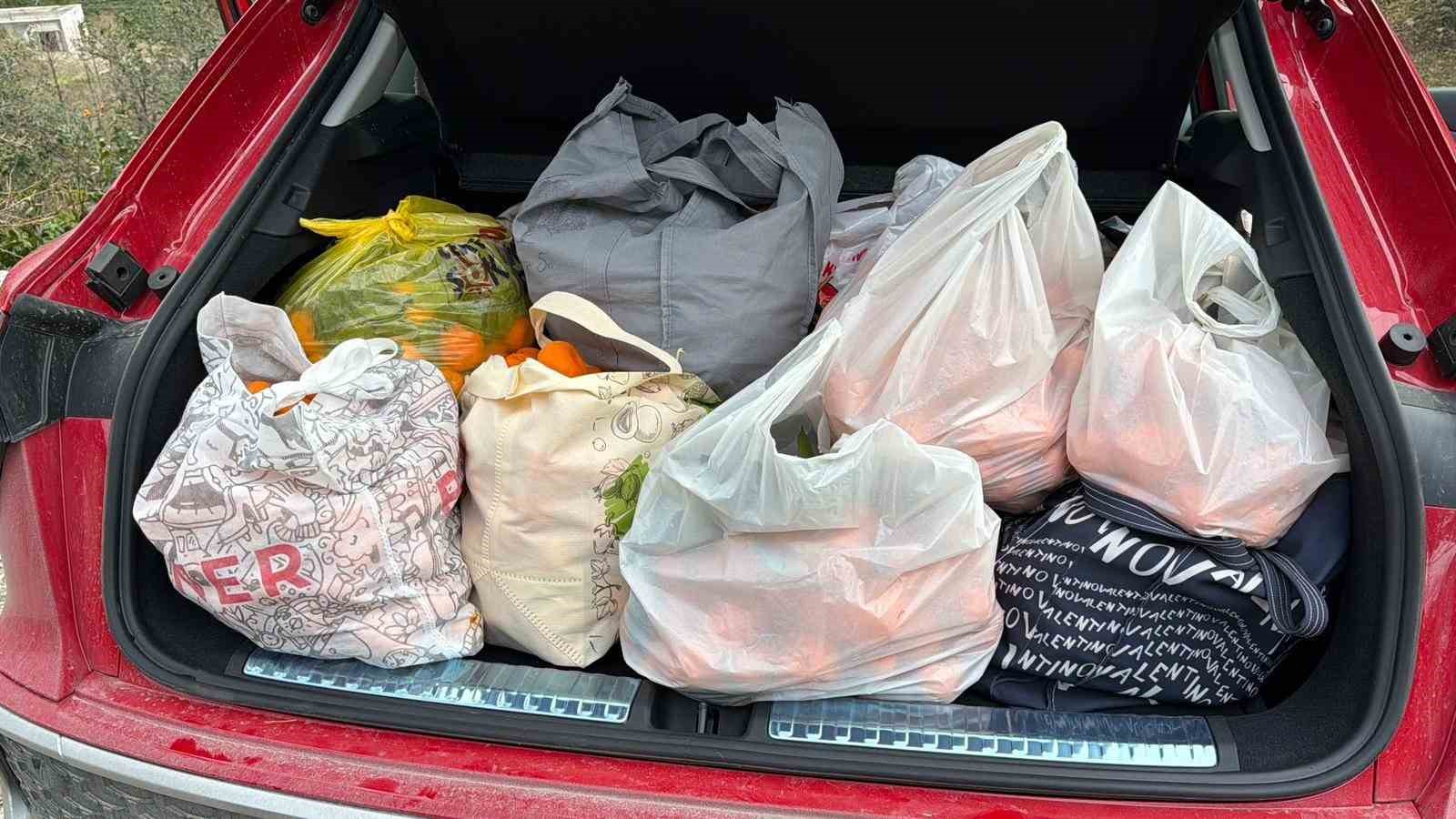 Artvin’de mandalina bereketi torpidoya taştı
