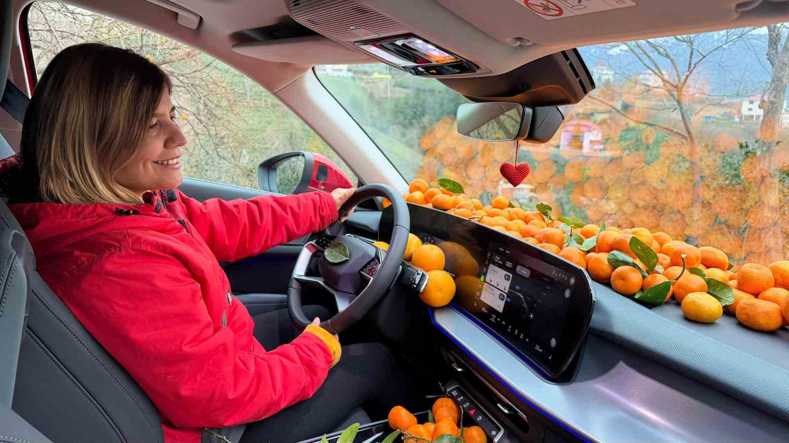 Artvin’de mandalina bereketi torpidoya taştı
