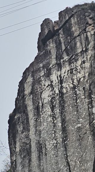 Artvin’de tehlike oluşturan kayalar kontrollü şekilde düşürüldü
