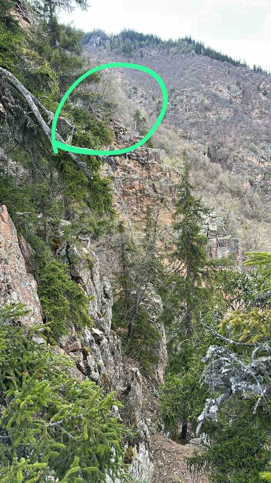 Artvin’de yaylada düşerek yaralanan vatandaş helikopterle kurtarıldı
