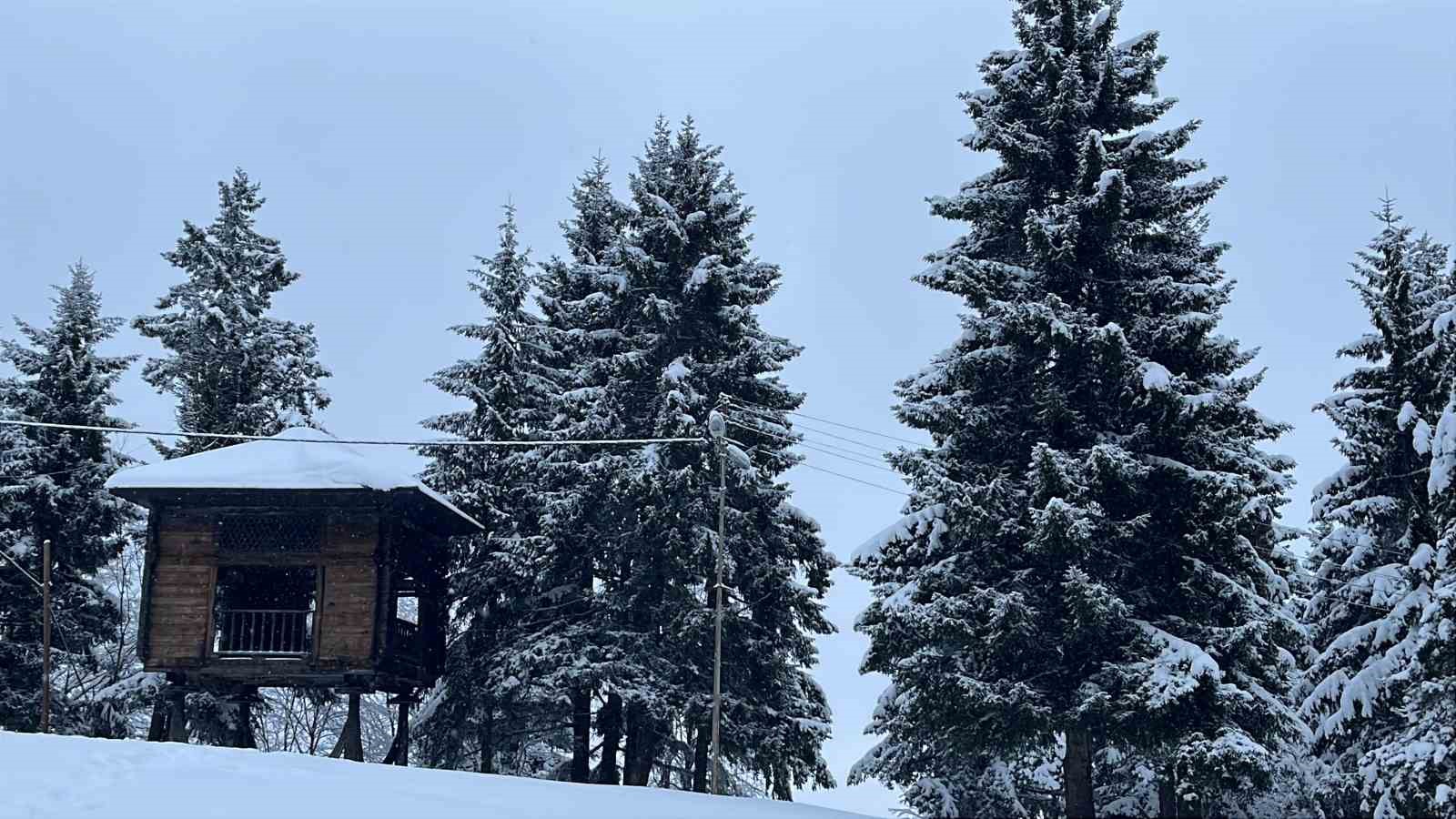 Artvin’in ünlü Kafkasör Yaylası, beyaz örtüyle sessizliğe büründü
