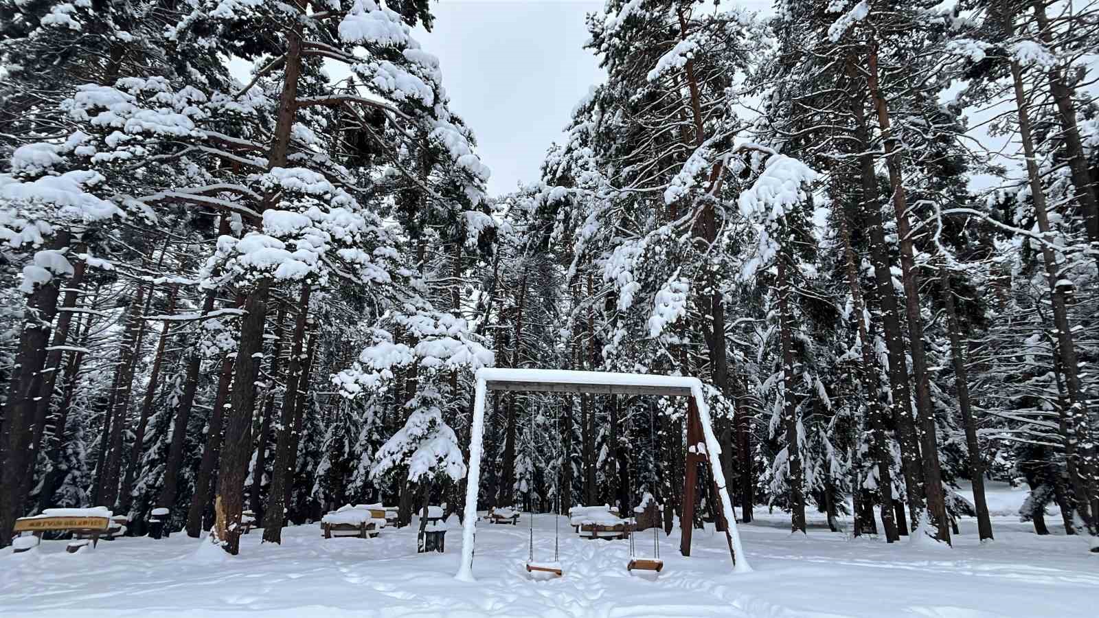 Artvin’in ünlü Kafkasör Yaylası, beyaz örtüyle sessizliğe büründü
