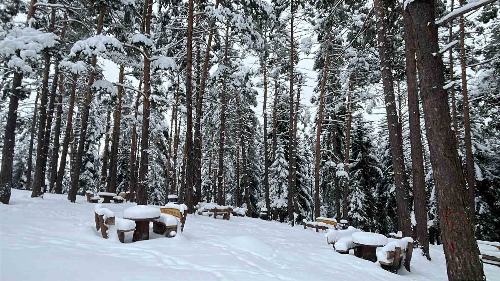Artvin’in ünlü Kafkasör Yaylası, beyaz örtüyle sessizliğe büründü
