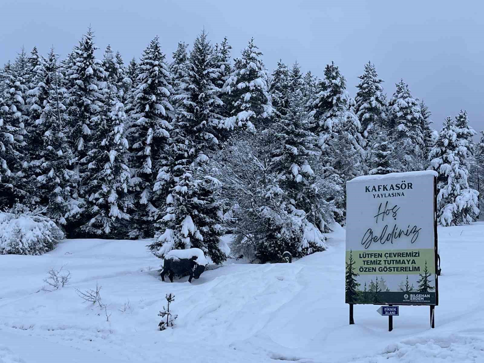 Artvin’in ünlü Kafkasör Yaylası, beyaz örtüyle sessizliğe büründü
