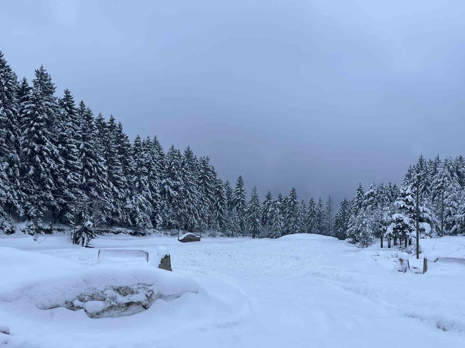 Artvin’in ünlü Kafkasör Yaylası, beyaz örtüyle sessizliğe büründü
