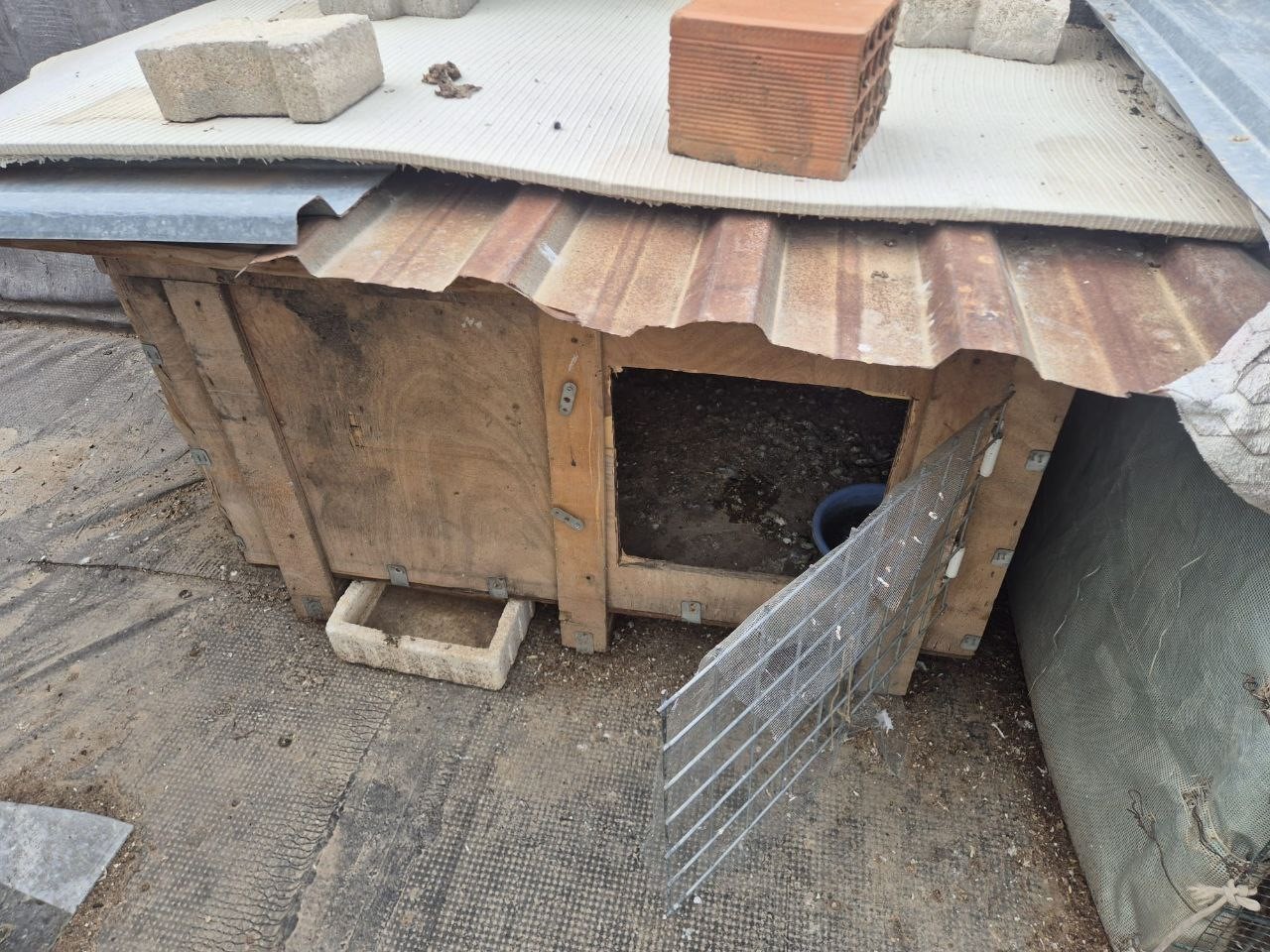 Asansöre idrarını yapıp kuş çalan şüpheli lise öğrencisi çıktı
Asansöre idrarını yapıp kuş çalan şüpheli lise öğrencisi çıktı