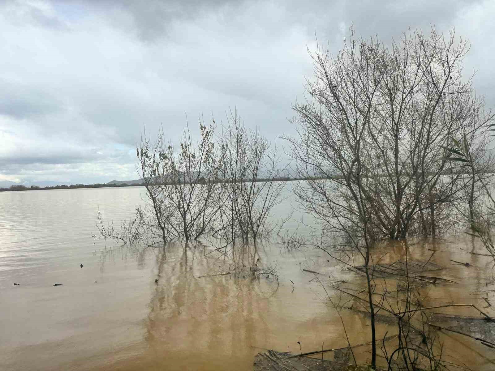 Aşırı yağışlar sonrası Söke’de hayvanlar güvenli bölgelere alındı
