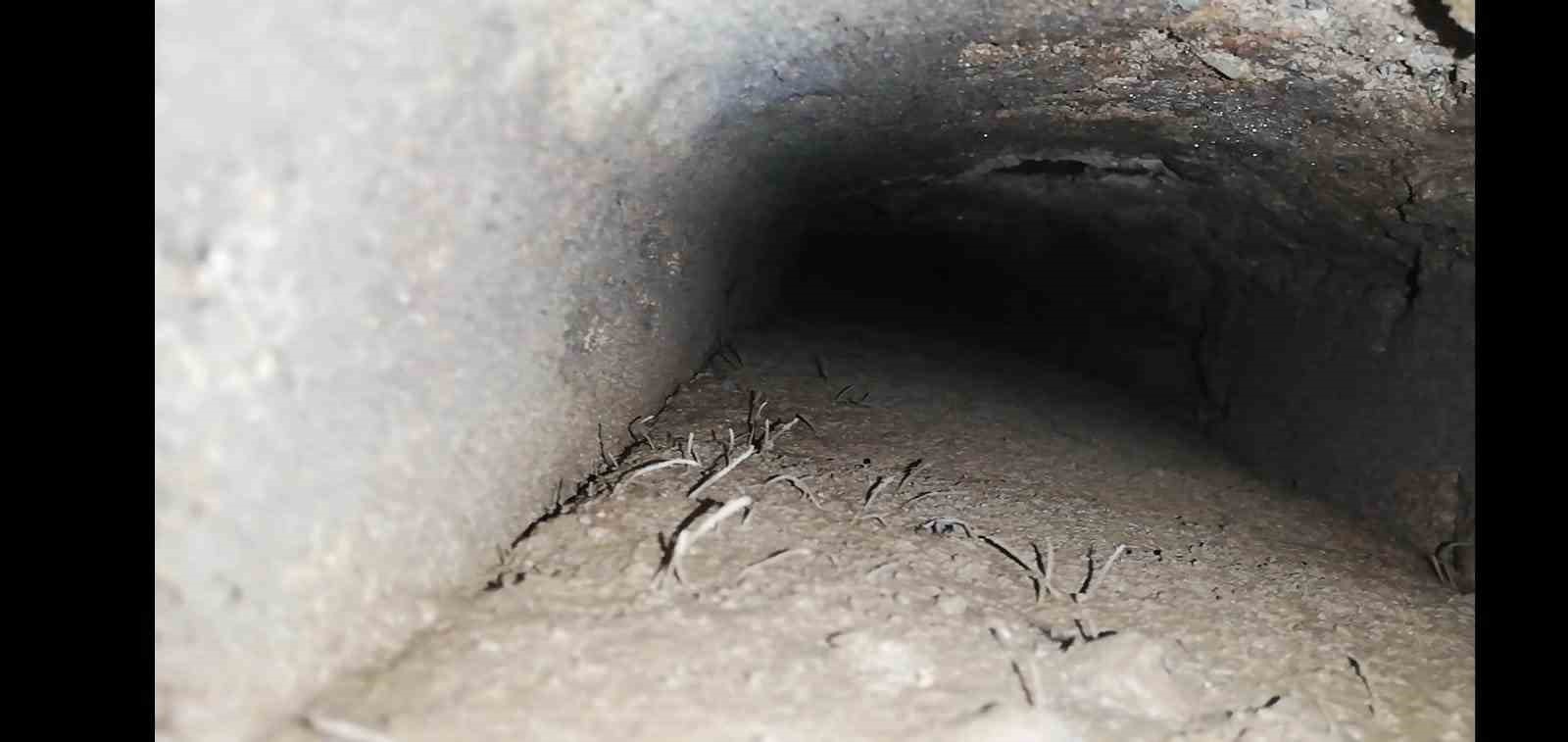 Asırlar sonra ortaya çıktı... Muradiye’de gizli kalan detay
