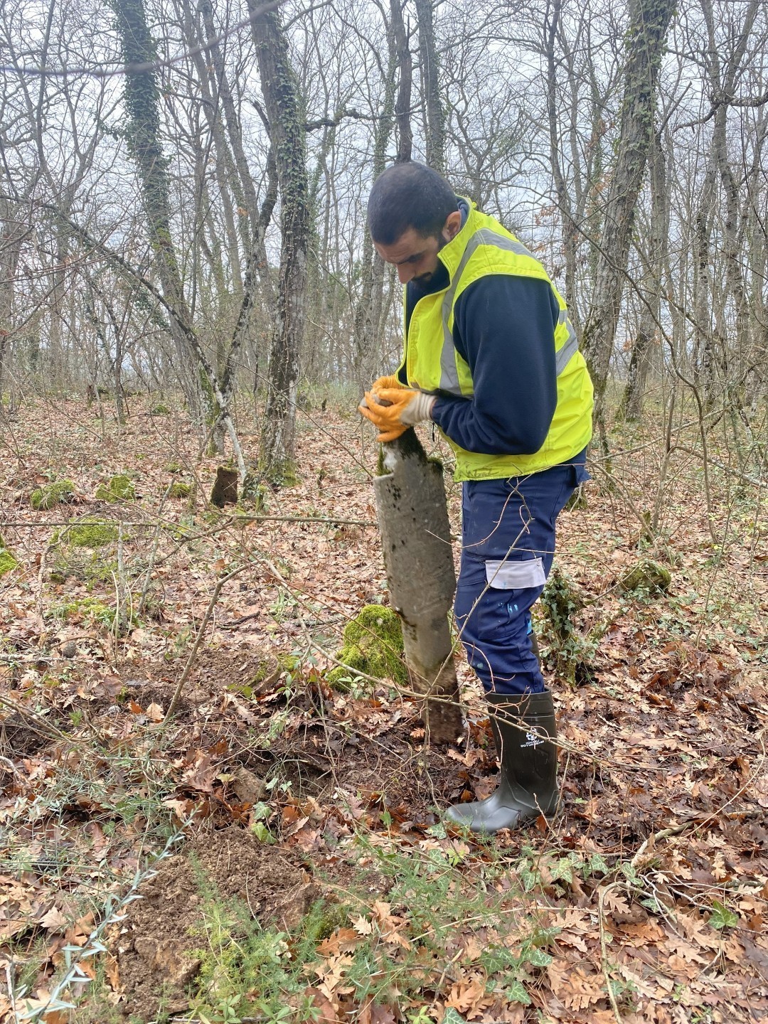 Asırlık Osmanlı mezarları yeniden ayağa kaldırıldı
