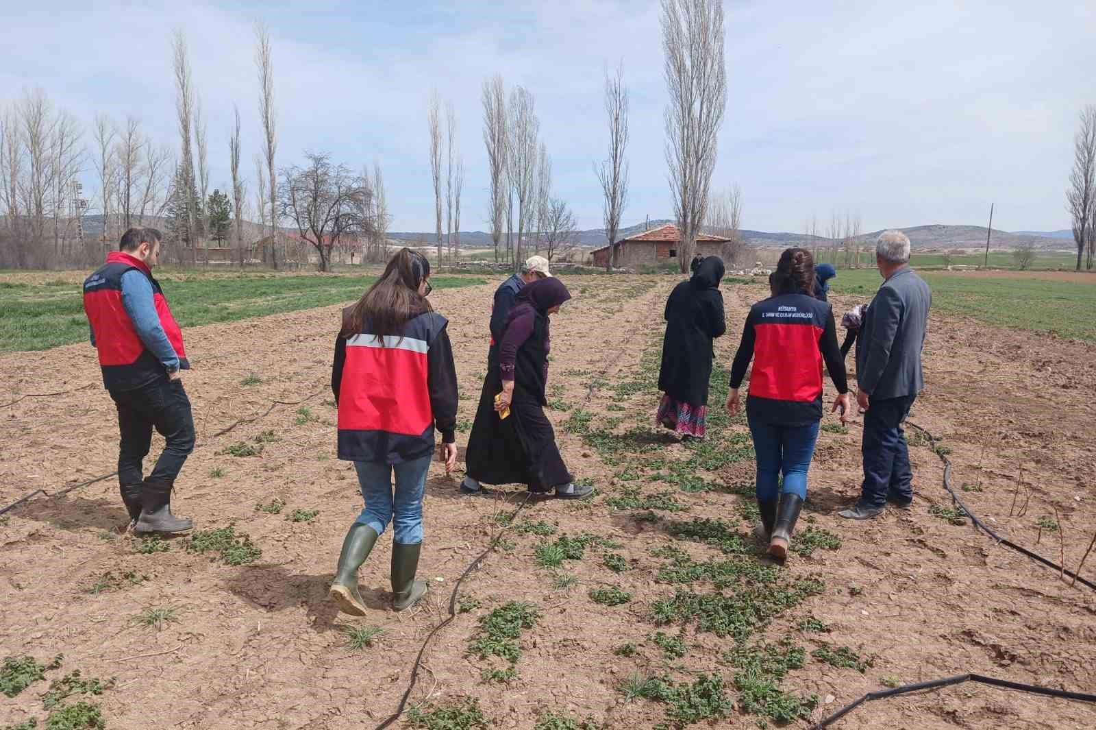 Aslanapa’da çiftçilere yönelik eğitim ve saha çalışmaları gerçekleştirildi
