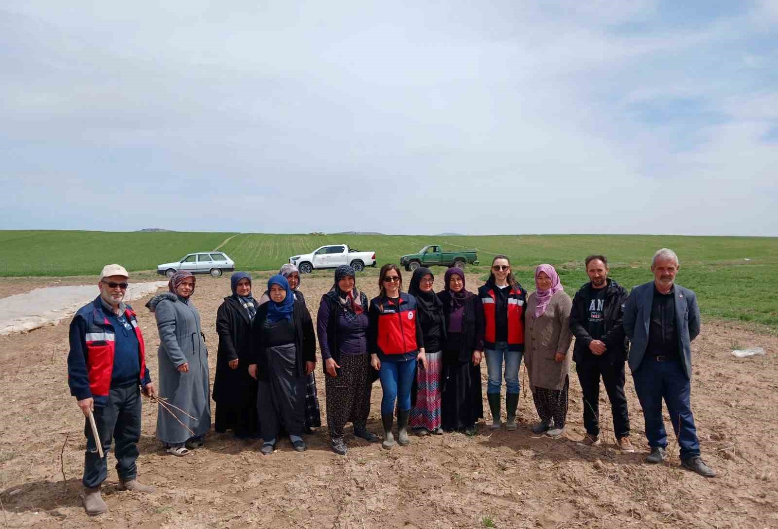 Aslanapa’da çiftçilere yönelik eğitim ve saha çalışmaları gerçekleştirildi
