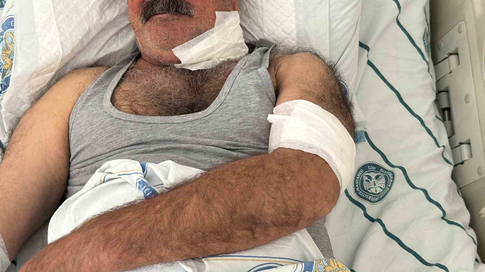 At sahibini boğazından ısırarak ağır yaraladı
