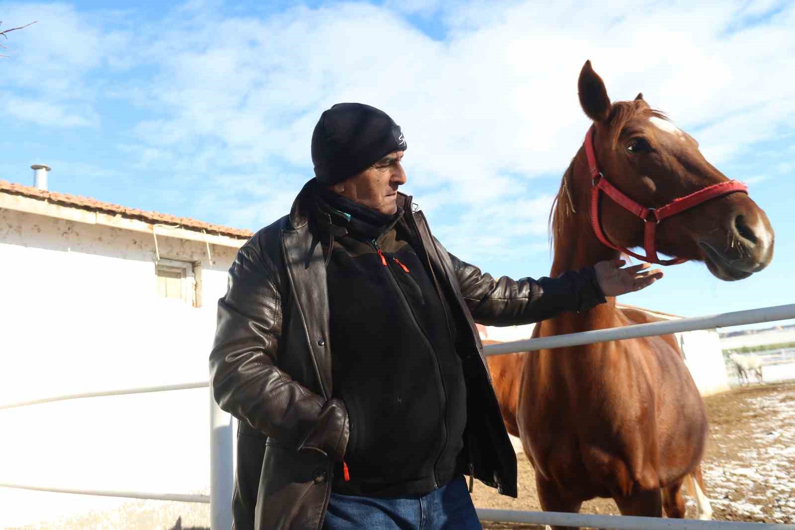 At yetiştiriciliğinin kış zorlukları
