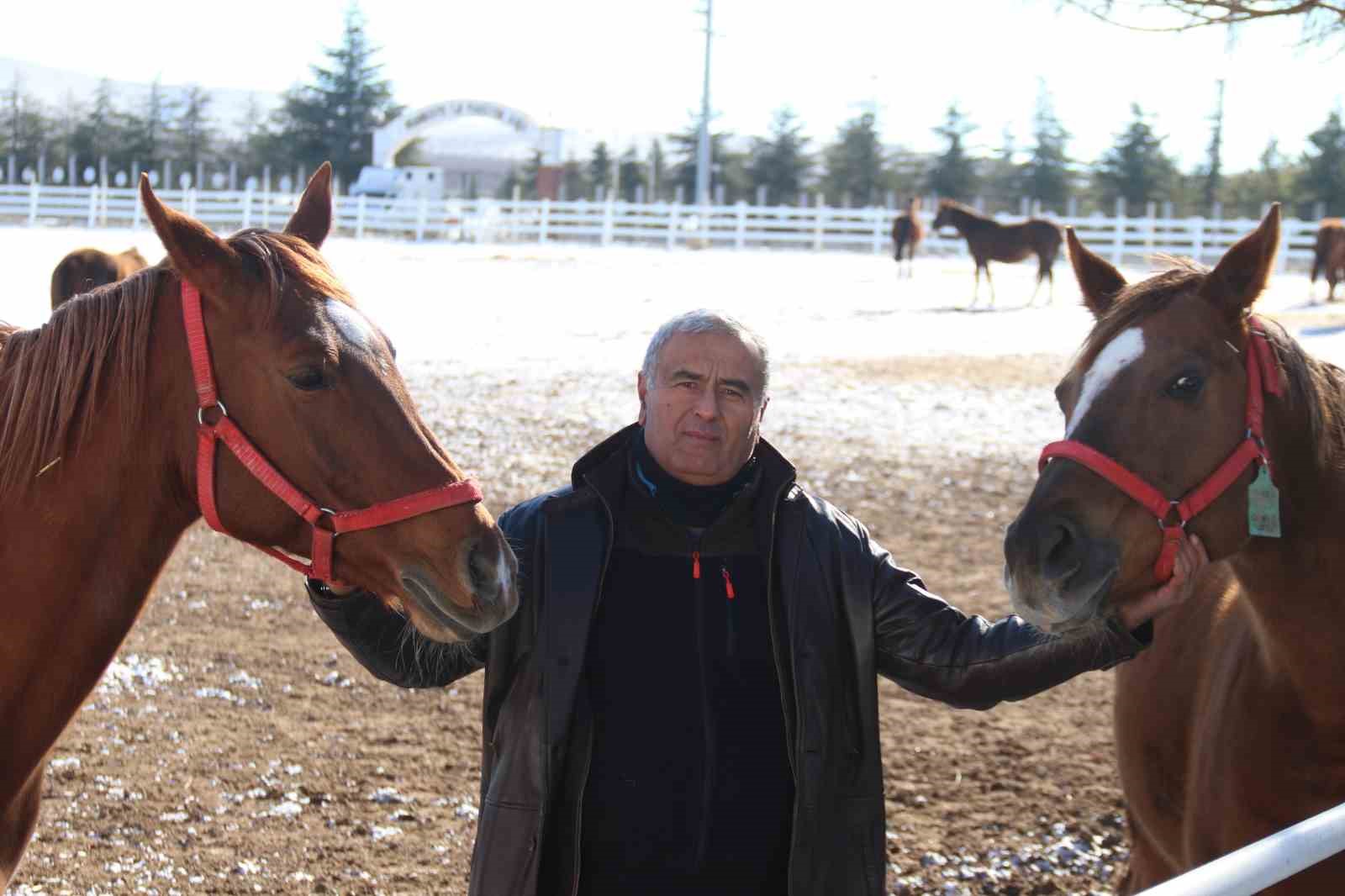 At yetiştiriciliğinin kış zorlukları

